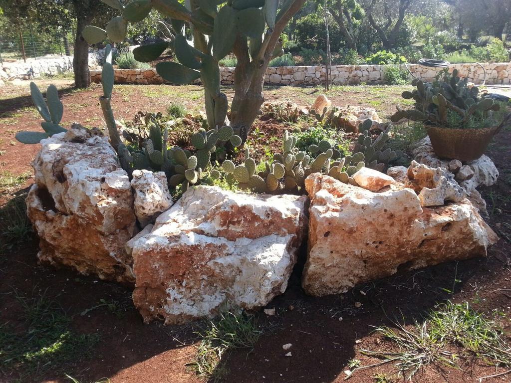 Caserurali Ceglie Messapica Ngoại thất bức ảnh